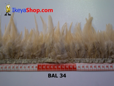 bulu ayam lancip BAL 34   feather  large2